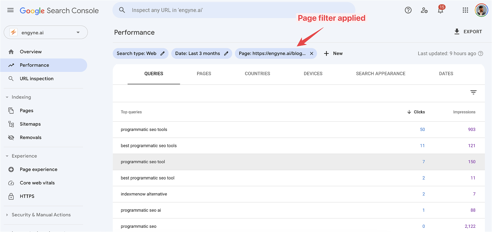 Page filter applied to the Performance report in Google Search Console